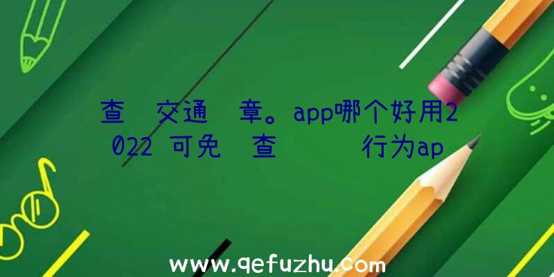 查询交通违章。app哪个好用2022